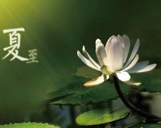 夏至節(jié)氣，廣西強壽藥業(yè)集團提醒您注意防暑降溫