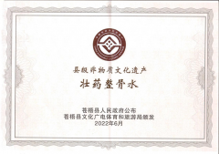 喜報！壯藥正骨水制作技藝榮獲縣級非物質(zhì)文化遺產(chǎn)項目